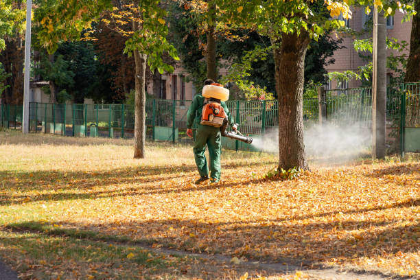 Professional Pest Control in Southlake, TX